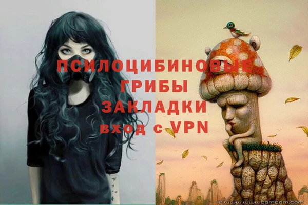 СК Яранск