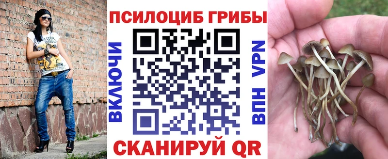 сайты даркнета телеграм  Северодвинск  Галлюциногенные грибы мухоморы 