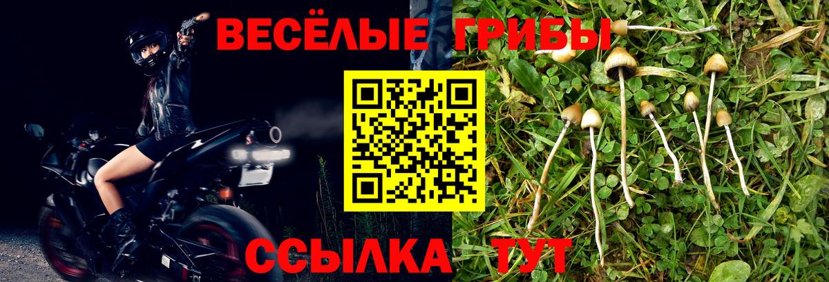 Псилоцибиновые грибы мицелий  Вход с VPN  Северодвинск 