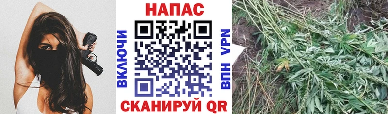 купить наркотик  Северодвинск  Бошки Шишки AK-47 